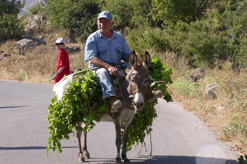 Φωτογραφίες