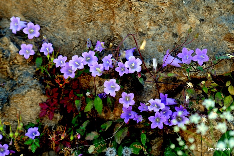Φωτογραφίες