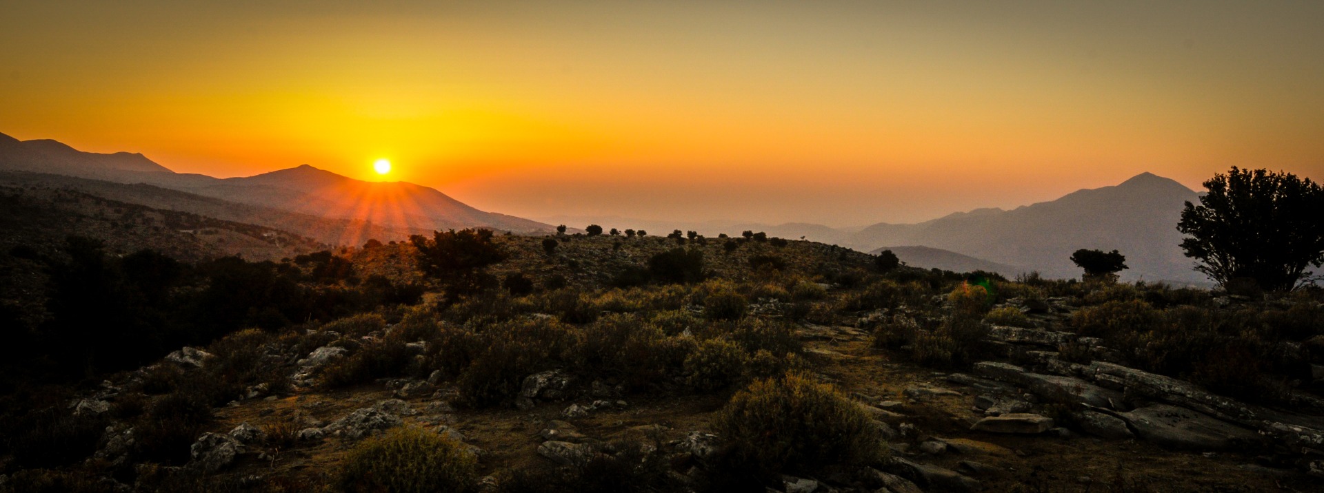 CurrentPage.menuTitle